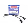 BORG & BECK BWL3166 - Contact d'avertissement, usure des plaquettes de frein