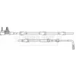 BORG & BECK BWL3225 - Contact d'avertissement, usure des plaquettes de frein