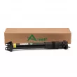 Arnott SK-3356 - Jeu de 2 amortisseurs arrière