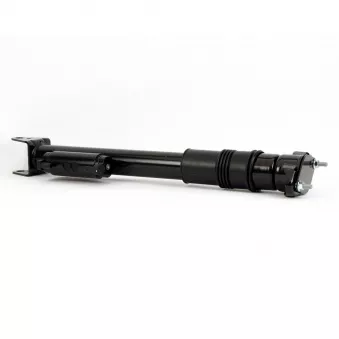 Jeu de 2 amortisseurs arrière Arnott OEM A1663200500