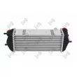 ABAKUS 019-018-0004 - Intercooler, échangeur
