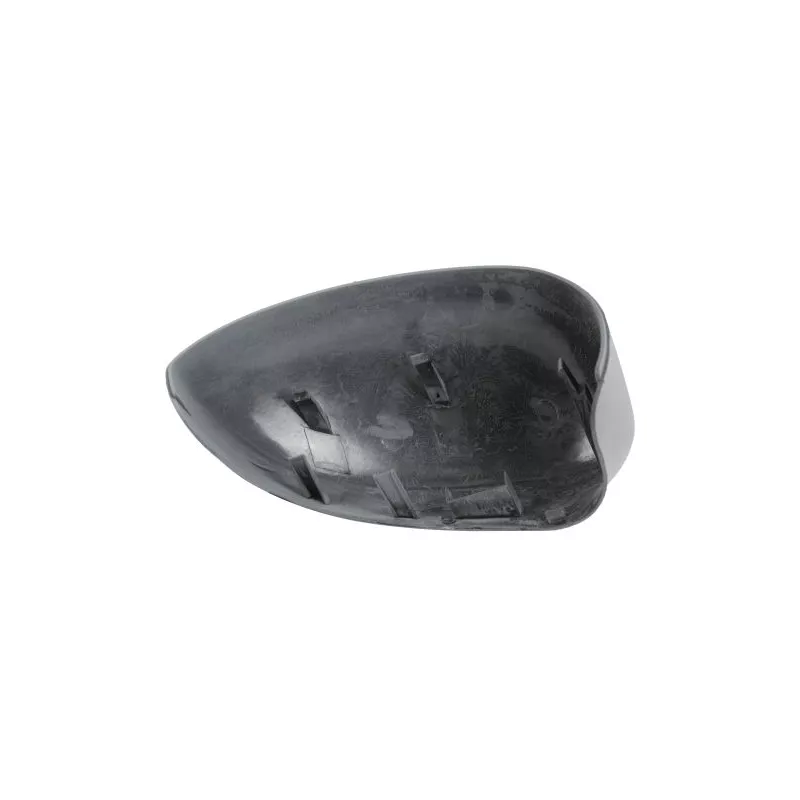 Revêtement, rétroviseur extérieur ABAKUS 1101C03 - Visuel 1