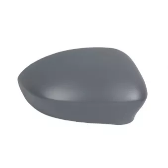 Revêtement, rétroviseur extérieur ABAKUS OEM 735456806