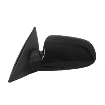 Rétroviseur extérieur ABAKUS 1523M01