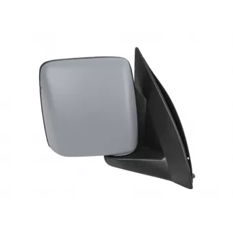 Rétroviseur extérieur ABAKUS OEM 6428193