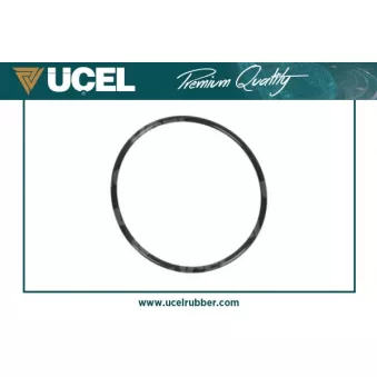 UCEL 95374 - Joint d'étanchéité, pompe à carburant