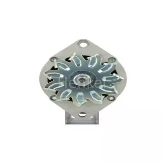 Henkel Parts 3119125 - Alternateur