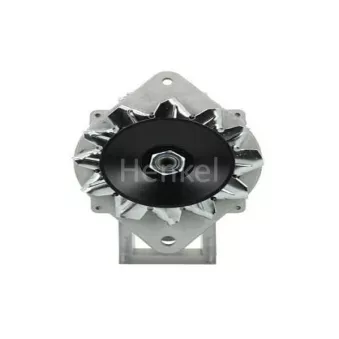 Henkel Parts 3124256 - Alternateur