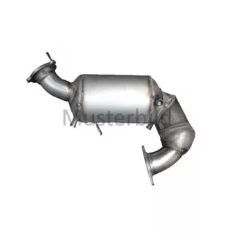 Henkel Parts 6110137R - Catalyseur