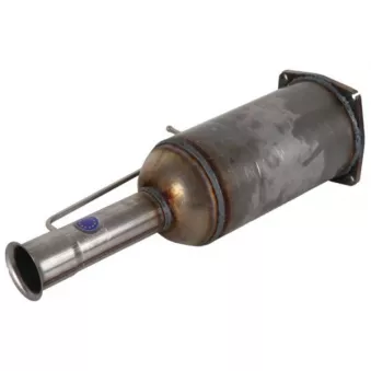 Henkel Parts 6113174R - Filtre à particules / à suie, échappement