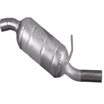 Henkel Parts 6115642R - Catalyseur
