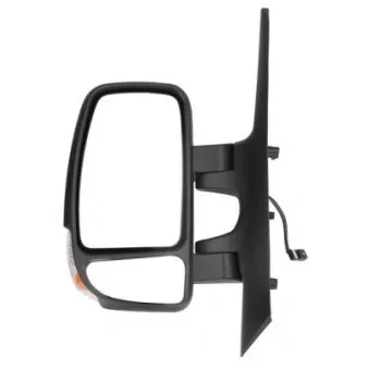 Rétroviseur extérieur BLIC OEM 963020624R