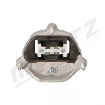 Suspension, boîte automatique MERTZ M-S5000