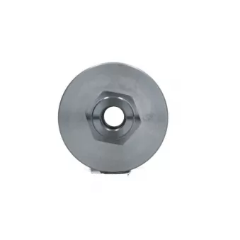 Poulie, alternateur BV PSH 051.000.013.006