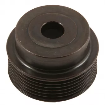 Poulie, alternateur BV PSH 051.000.679.016