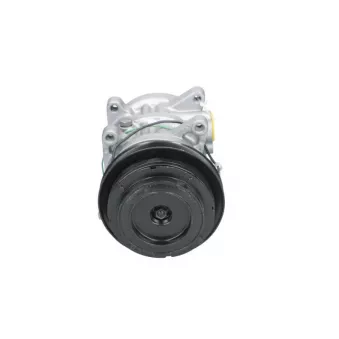 Compresseur, climatisation BV PSH 090.015.057.050