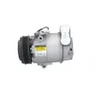 BV PSH 090.135.023.200 - Compresseur, climatisation
