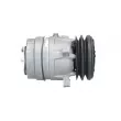 BV PSH 090.135.076.200 - Compresseur, climatisation