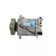 BV PSH 090.135.083.905 - Compresseur, climatisation