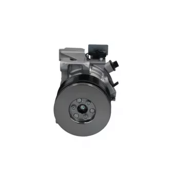 Compresseur, climatisation BV PSH 090.185.021.500 pour SUZUKI S-CROSS 1,4 Smart Hybrid - 129cv