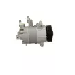 BV PSH 090.305.001.876 - Compresseur, climatisation