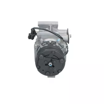 Compresseur, climatisation BV PSH OEM RXS7H19D629EA