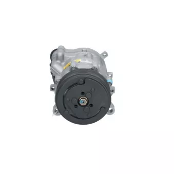 Compresseur, climatisation BV PSH OEM 1067110