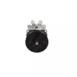 Compresseur, climatisation BV PSH [090.805.001.907]