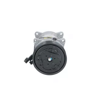 Compresseur, climatisation BV PSH OEM 30805511