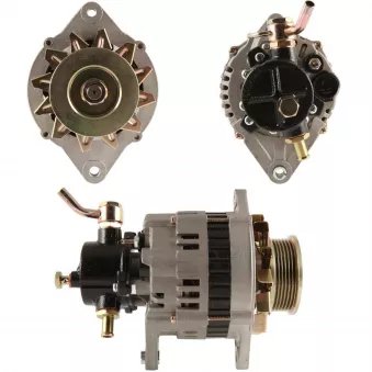 Alternateur BV PSH 135.819.080.080