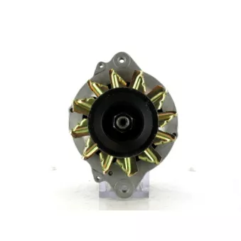Alternateur BV PSH OEM LR170402E