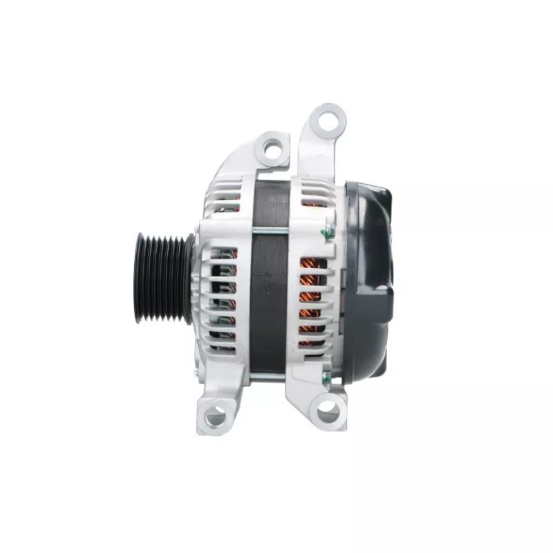 Alternateur BV PSH 195.302.130.050 - Visuel 1