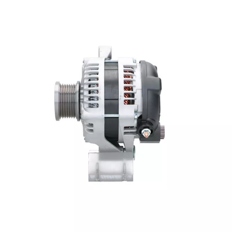 Alternateur BV PSH 195.325.130.050 - Visuel 1