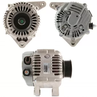 Alternateur BV PSH 195.991.080.050