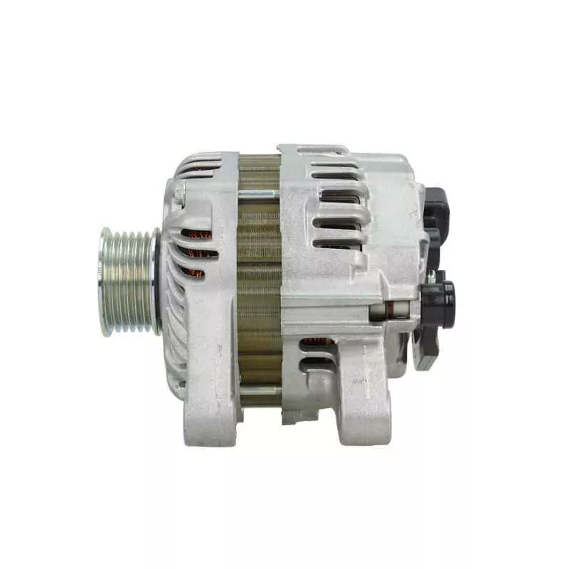 Alternateur BV PSH 225.559.080.370 - Visuel 1