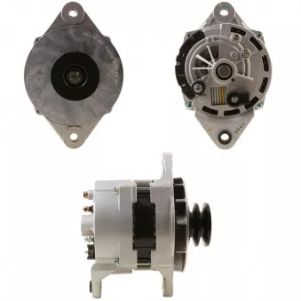 Alternateur BV PSH 236.503.060.040