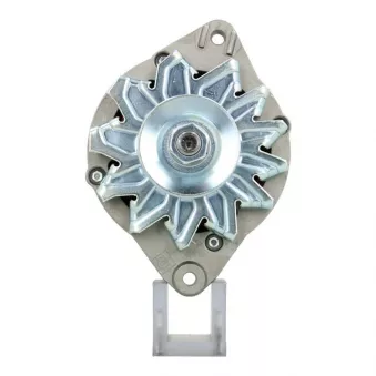 Alternateur BV PSH 305.026.055.312