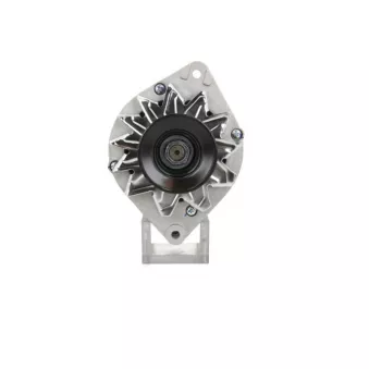 Alternateur BV PSH [305.027.065.090]