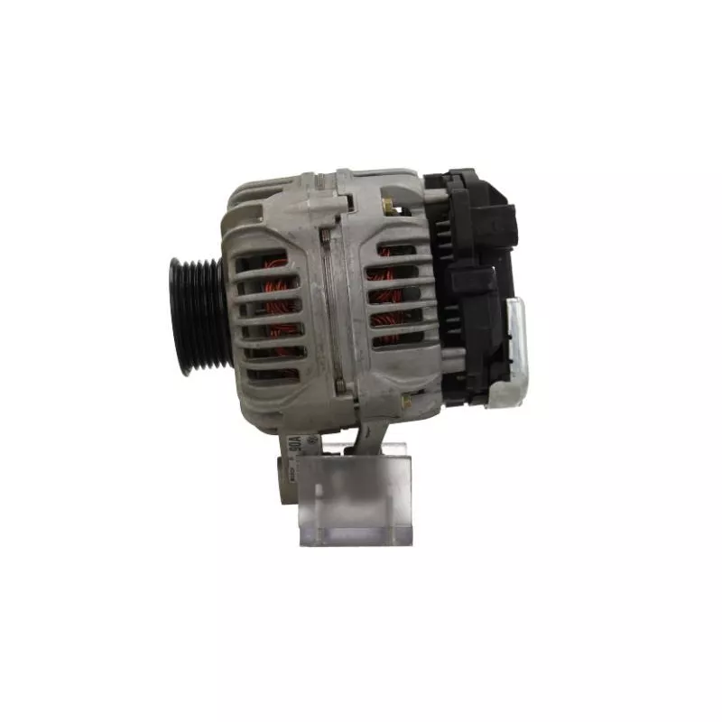 Alternateur BV PSH 305.319.090.210 - Visuel 1