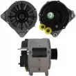 Alternateur BV PSH [305.410.150.040]
