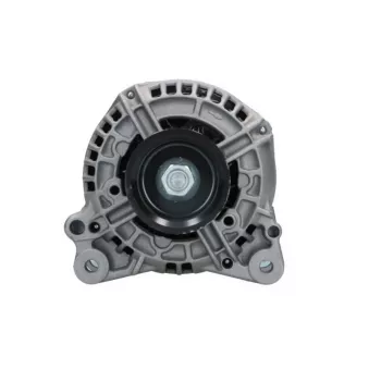 Alternateur BV PSH OEM 074903025R