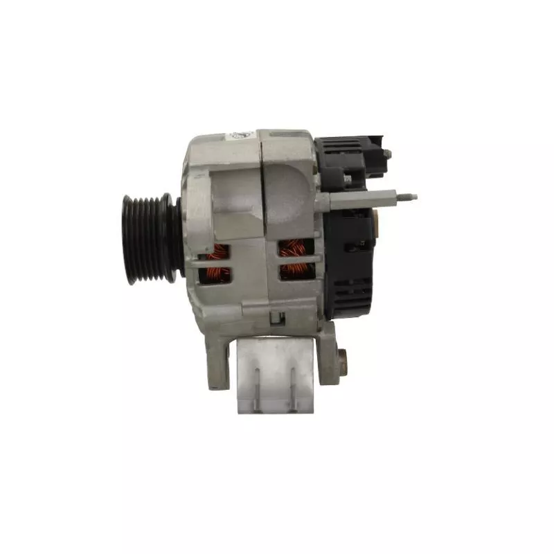 Alternateur BV PSH 305.532.090.505 - Visuel 1