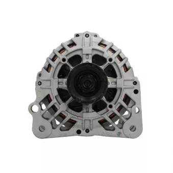Alternateur BV PSH 305.560.090.505
