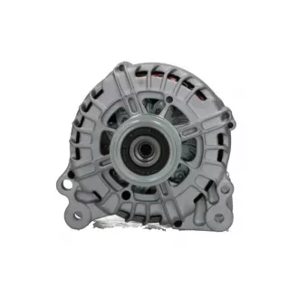 Alternateur BV PSH 305.915.140.000