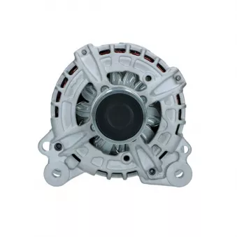 Alternateur BV PSH 305.967.140.019