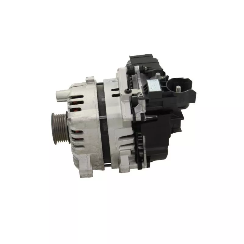 Alternateur BV PSH 457.505.250.500 - Visuel 1