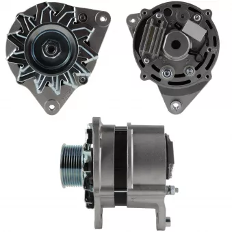 Alternateur BV PSH 505.013.120.310