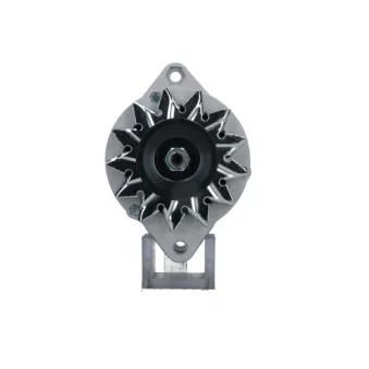 Alternateur BV PSH 506.001.035.090