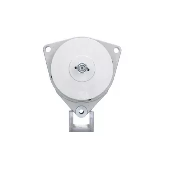 Alternateur BV PSH 555.004.035.011