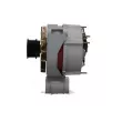 BV PSH 555.018.100.311 - Alternateur
